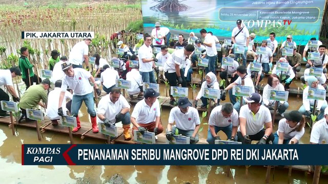 Wujudkan Jakarta Hijau, REI Estate DKI Jakarta Tanam 1.000 Pohon di Kawasan Ekowisata Mangrove PIK!