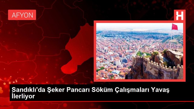 Sandıklı'da Şeker Pancarı Söküm Çalışmaları Yavaş İlerliyor