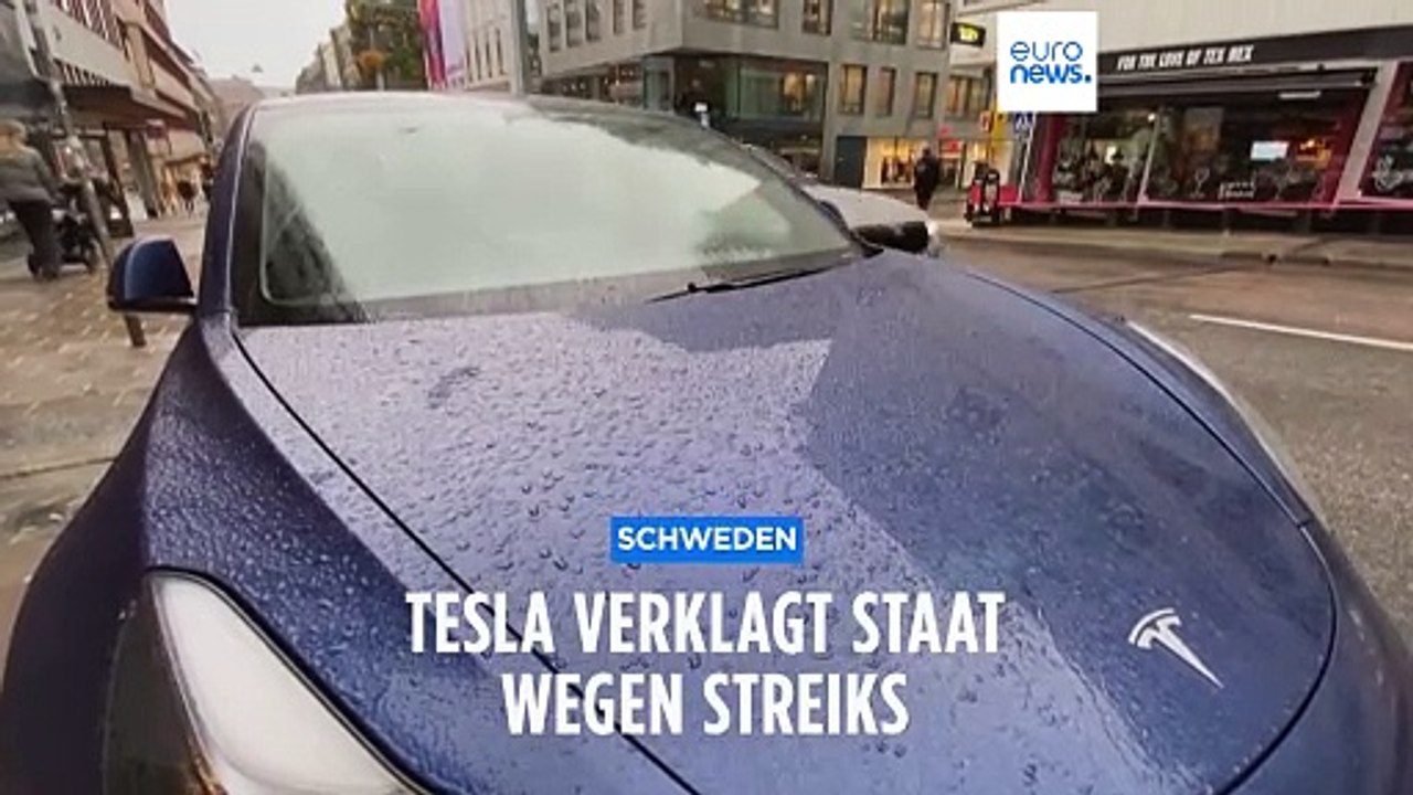 Tesla und der Streit um schwdische Nummernschilder