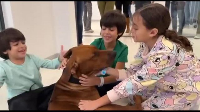 Piccoli ostaggi di Hamas liberati: gli abbracci e la commozione