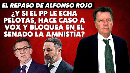 Alfonso Rojo: “¿Y si el PP le echa pelotas, hace caso a VOX y bloquea en el Senado la amnistía?”