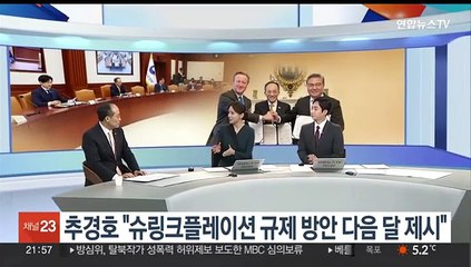 추경호 "슈링크플레이션 규제 방안 12월에 제시"