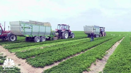 بعد قفزات قوية.. أرباح شركات الأسمدة في مصر تتباطأ بالربع الثالث