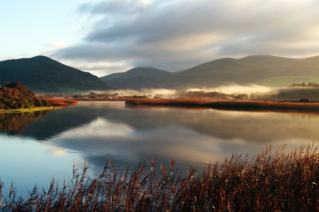 Cambrian News readers' fantastic photos