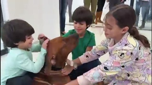 Reféns e prisioneiros têm reencontros emocionantes com familiares