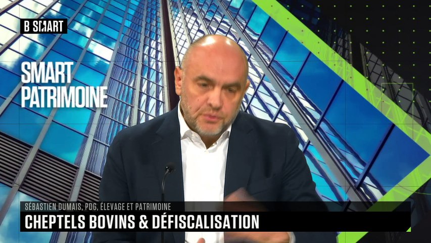 Une nouvelle mesure de défiscalisation pour les éleveurs bovins 