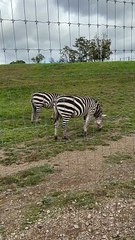 Zoológico en Pensilvania