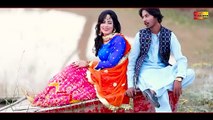 Picha Mur Ve Dhola - Neelam Khan and Tayyab Tari - ( Official Video ) - Shaheen Studio
