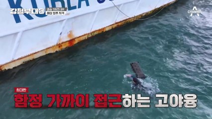 고야융 대원 레펠 하강 실시! 망망대해에서 펼쳐진 해상 침투