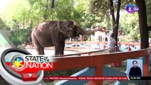 Elepante sa Manila Zoo na si Vishwa Ma'ali o Mali, pumanaw na | SONA