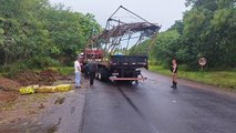 Acidente com caminhão mata 80% da carga viva de frangos na PR-323, em Umuarama