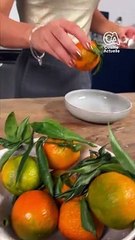 CUISINE ACTUELLE - Clémentines givrées