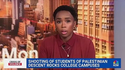 Elon Musk rencontre Benyamin Netanyahou en Israel