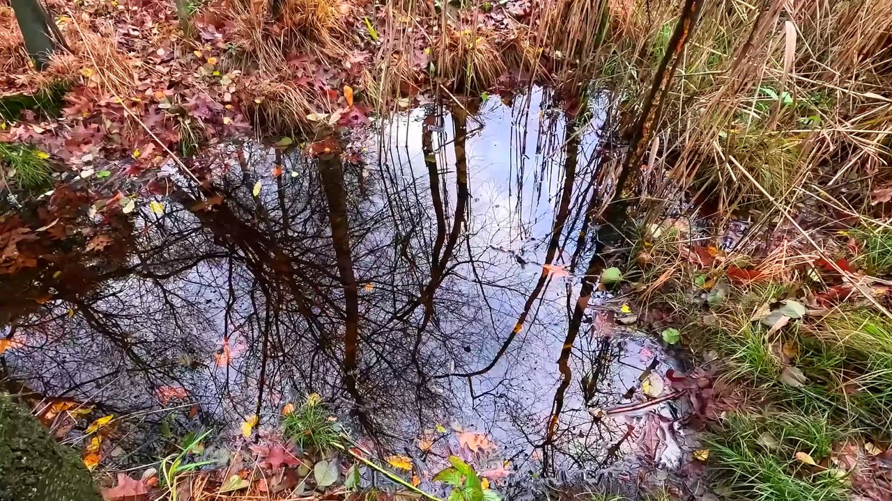 Hildener Heide 'Gemma ma ne Runde'