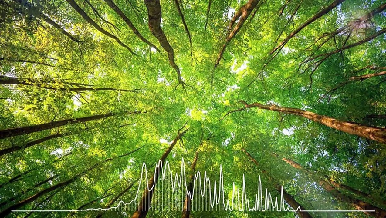 Johann Sebastian Bach-Prelude and Fugue in E-flat major, BWV 552-E-PIANO