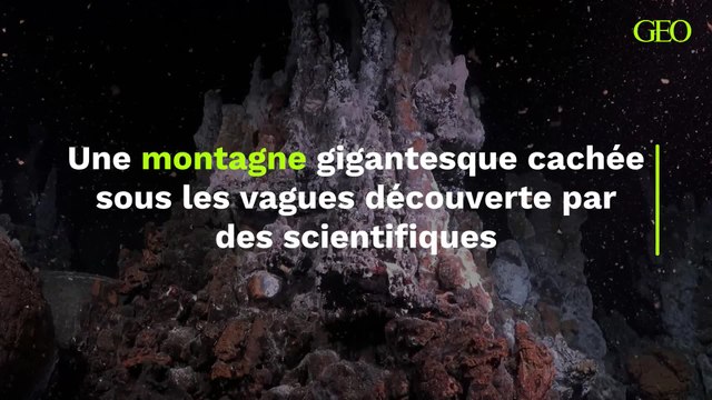 Cachée sous les vagues : dans l’océan Pacifique, une montagne gigantesque découverte par des scientifiques