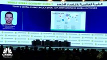 مديرة ورئيسة العمل المناخي والتنمية الشاملة في المعهد العالمي للنمو الأخضر لـ CNBC عربية: العالم الآن بحاجة إلى 4 تريليونات $ سنوياً للوصول إلى أهداف التنمية المستدامة