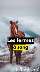 Les fermes à sang