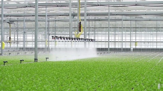 Agroalimentare, raddoppiano le risorse del Pnrr