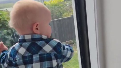Adorable boy paces from one window to next to make sure his eyes stay glued to Daddy
