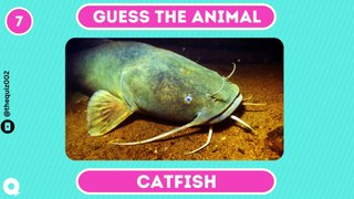 GUESS THE ANIMAL BY EMOJI