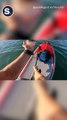 Unlikely Encounter With Puffer Fish Delights Paddleboarder