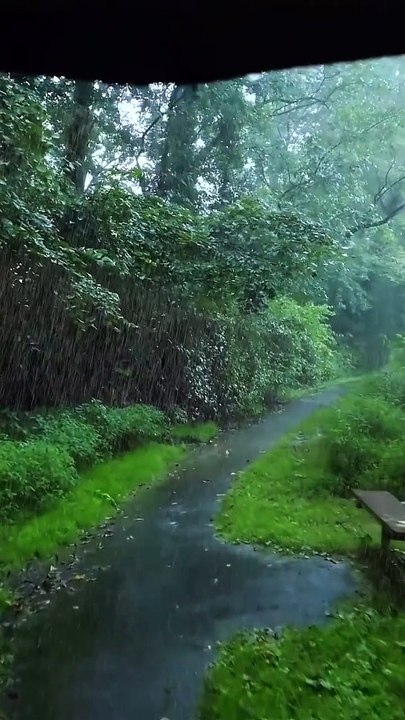 Do you like rainy weather- ️