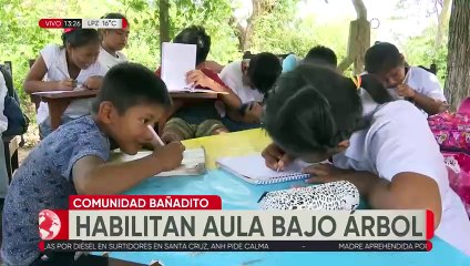 20 estudiantes pasan clases debajo de un árbol en Portachuelo después que su aula se quemó