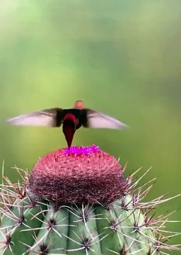 Find the sweetness in your own heart Then you may find the sweetness in every heart.