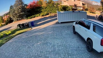 Roll-Off Container Rolls Away