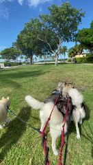 Gian Piero Rovagnati