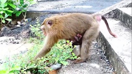 Good News!, welcome newborn baby, and congratulations for mother Joanna