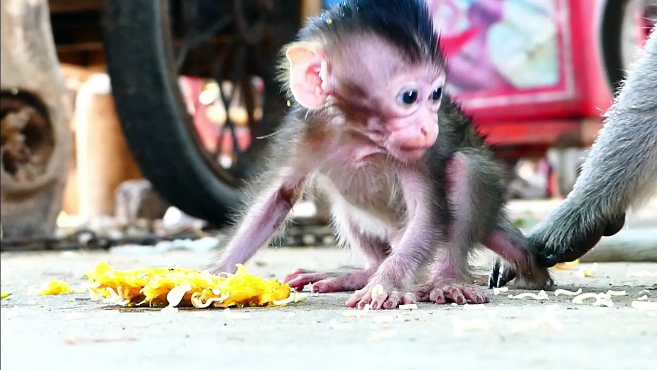 Great and sweetie baby girl Millie, little cute Millie join food with her beloved mommy Emila (720p_25fps_H264-192kbit_AAC)