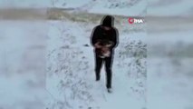 Ardahan'da donmak üzere olan yavru köpekler kurtarıldı
