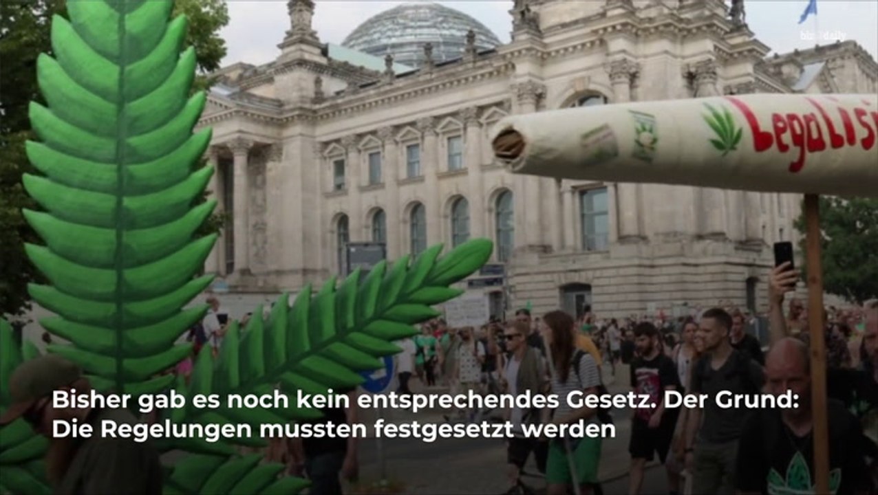 Neues Gesetz: SO viel Marihuana soll künftig legal sein
