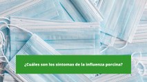 ¿Cuáles son los síntomas de la influenza porcina?