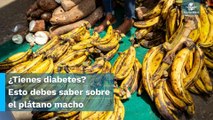 Descubre los beneficios de consumir plátano macho