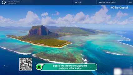 Dodôs encontram um lugar para poderem voltar à vida