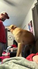 Excited Dog Pees During Hug