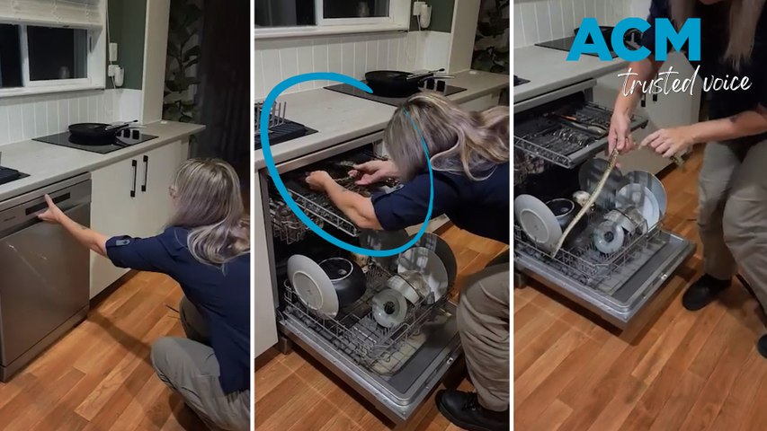 A woman in Queensland was given the fright of her life after finding a carpet python curled up in her dishwasher!