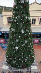 Complete Guide to Choosing and Decorating Your Perfect Christmas Tree 🎄