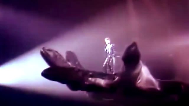 Entrées sur scène Johnny Hallyday de 1962 à 2016.