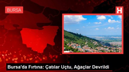 Bursa'da Fırtına: Çatılar Uçtu, Ağaçlar Devrildi
