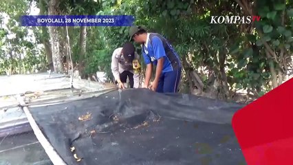 Bhabinkamtibmas Budidayakan Lele untuk Warga Desa di Boyolali