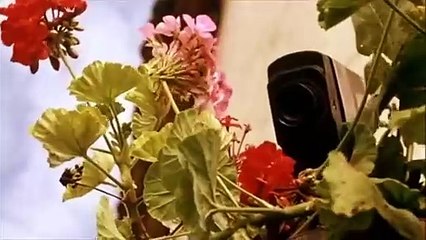 Chat noir, chat blanc Bande-annonce (IT)