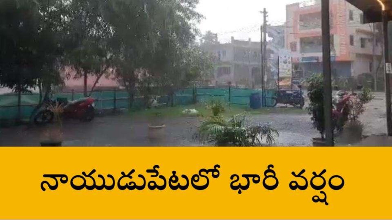 తిరుపతి జిల్లా: నాయుడుపేటలో భారీ వర్షం... నీట మునిగిన రోడ్లు