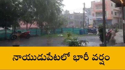 తిరుపతి జిల్లా: నాయుడుపేటలో భారీ వర్షం... నీట మునిగిన రోడ్లు