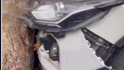 सिवनी: कोहरे के चलते कारों की ताबड़तोड़ भिड़ंत, कार के उड़े परखच्चे