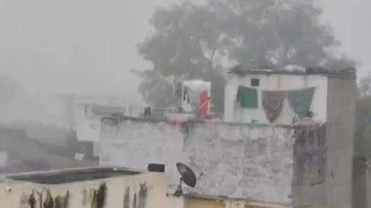 राजसमंद: सर्दी का सितम जारी, छाया घना कोहरा, दे...