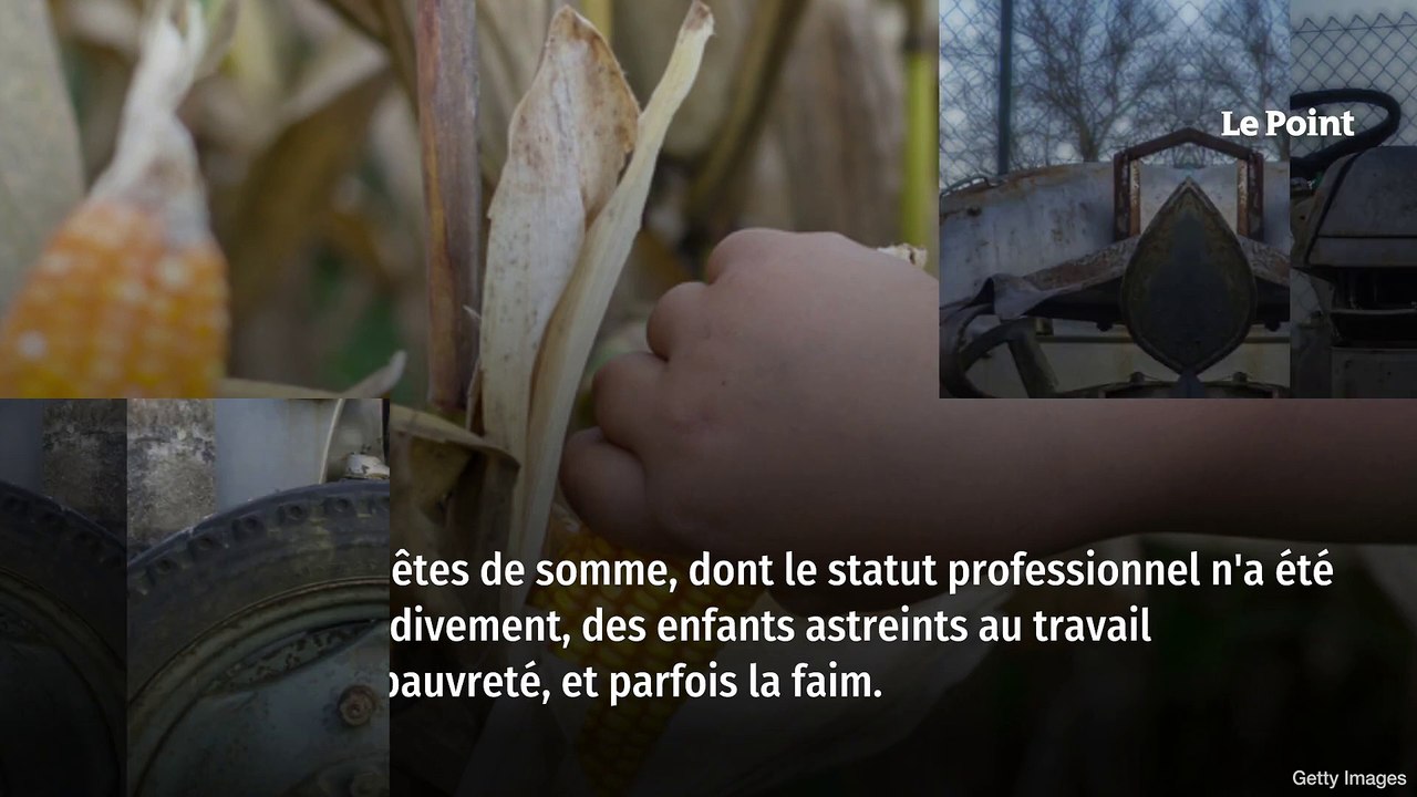 Comment Karine Le Marchand humilie les paysans